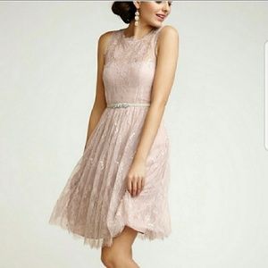 Hitherto Anthropologie Blush Lace Dress Size 10